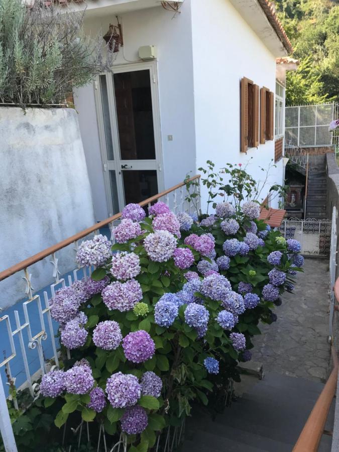 Appartamento Rosa Scala Exterior photo
